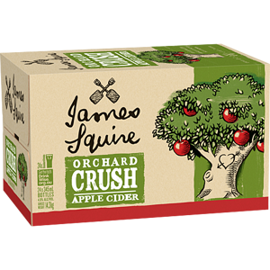 Picture of James Squire Orchard Apple Cider 345Ml